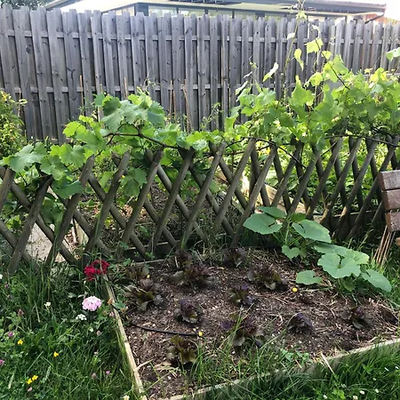 Maison Du Grand Pin Tatil Evi Pompignac