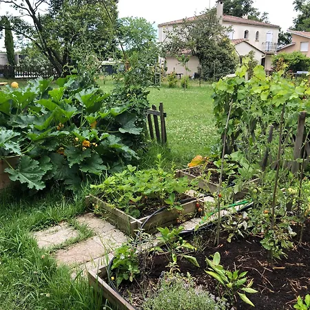 Maison Du Grand Pin * Pompignac