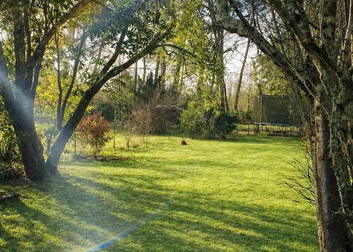 Maison Du Grand Pin Tatil Evi Pompignac