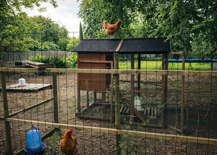 Maison Du Grand Pin *