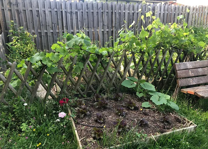 Maison Du Grand Pin Tatil Evi Pompignac