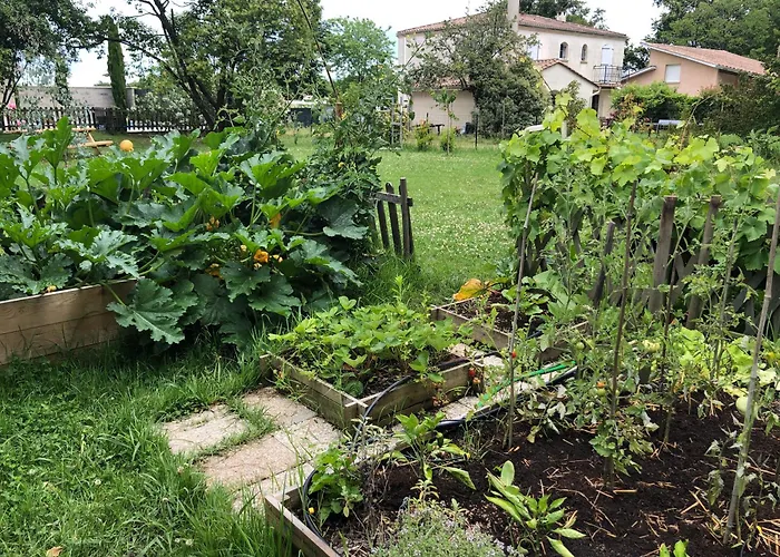 Maison Du Grand Pin * Pompignac