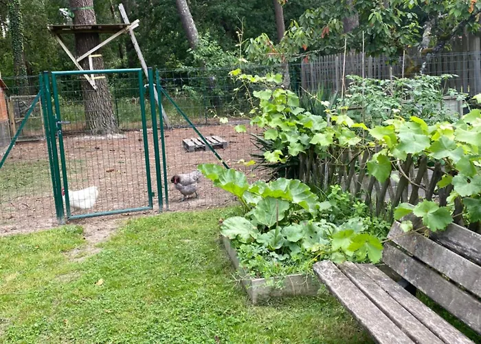 Maison Du Grand Pin Tatil Evi